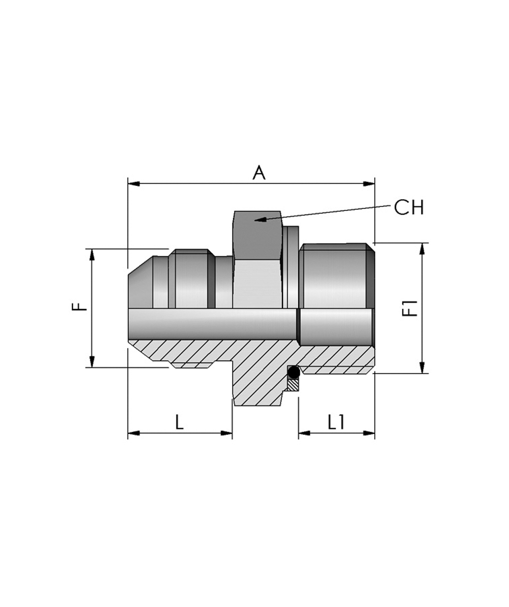 Adaptateur JIC BSP FB Hydraulik, AG-JIC cne 37 x joint torique AG-BSPP, XXST6017-0000